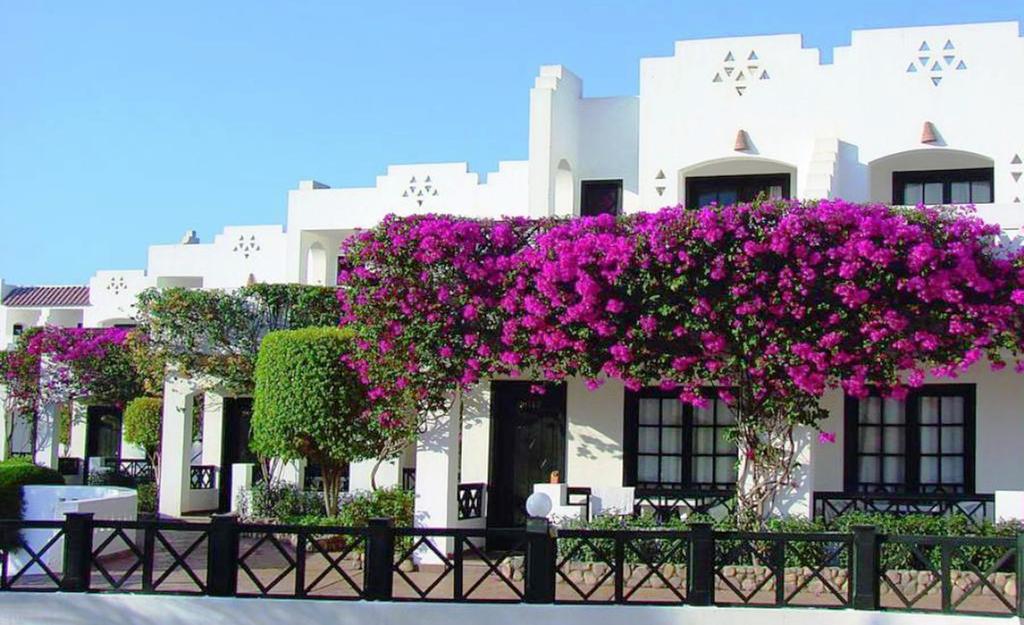 VERGINIA SHARM RESORT 4*! Шарм Эль-Шейх